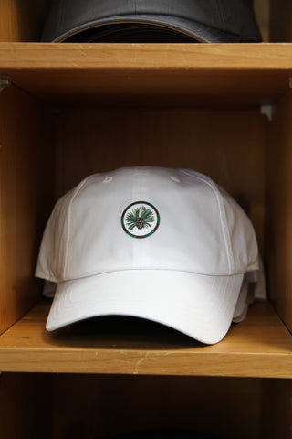 Pine Needles American Needle Poker Chip Hat
